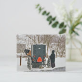 Amish Woman with Horse and Buggy-Briefkaart Briefkaart (Staand voorkant)