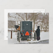 Amish Woman with Horse and Buggy-Briefkaart Briefkaart (Voorkant / Achterkant)