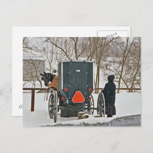 Amish Woman with Horse and Buggy-Briefkaart Briefkaart (Voorkant / Achterkant)