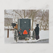 Amish Woman with Horse and Buggy-Briefkaart Briefkaart (Voorkant)