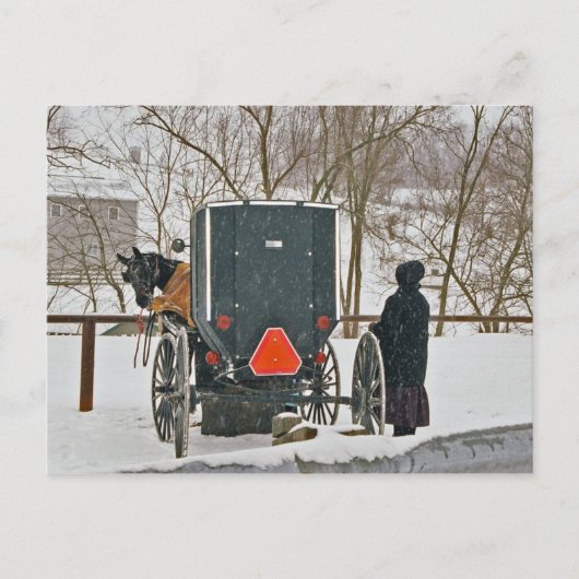 Amish Woman with Horse and Buggy-Briefkaart Briefkaart (Voorkant)