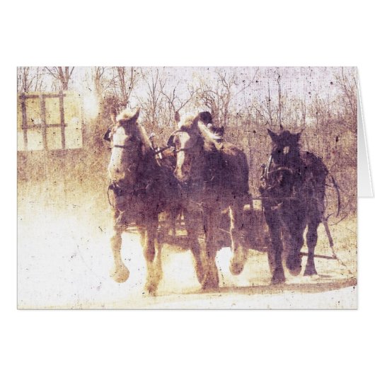 Amish Working Horses, Faux  (Voorkant Horizontaal)