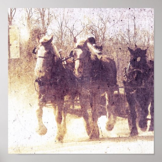 Amish Working Horses in Iowa Poster (Voorkant)