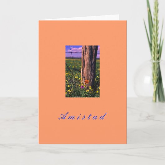 "Amistad" Feestdagen Kaart (Voorkant)