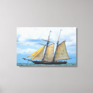 Amistad under Sail Canvas Afdruk