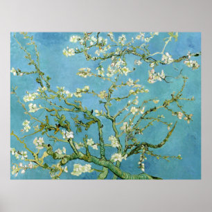 Ammond Blossom Branches (F671) Van Gogh Fine Art Poster