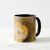 Ammoniet en andere fossiele brandstoffen in Rock Mok (Voorkant rechts)