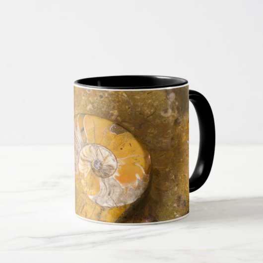 Ammoniet en andere fossiele brandstoffen in Rock Mok (Voorkant rechts)