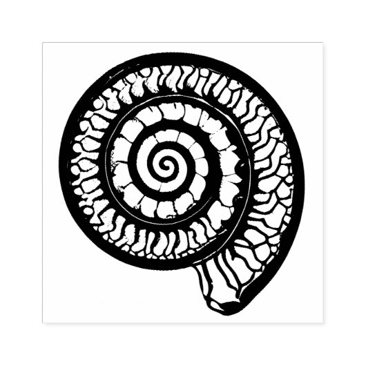 Ammoniet Fossiel - Spiral Seashell Rubberstempel (Afrduk)