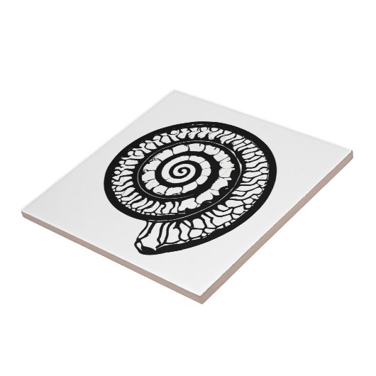 Ammoniet Fossiel - Spiral Seashell Tegeltje (Zijkant)