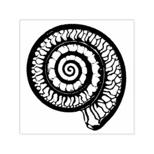 Ammoniet Fossiel - Spiral Seashell Zelfinktende Stempel