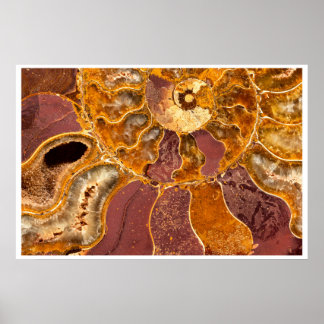 Ammoniet Fossiel Wandkunst | Aardtint Abstract Poster