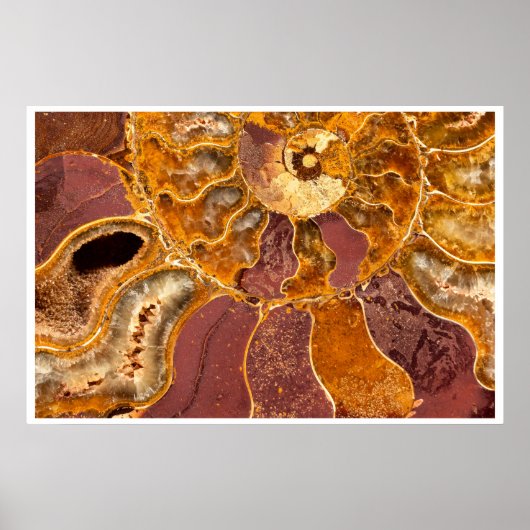 Ammoniet Fossiel Wandkunst | Aardtint Abstract Poster (Voorkant)