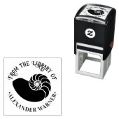 Ammoniet Fossiele Schelp #2 Strand Bibliotheek Boe Zelfinktende Stempel (In situ)