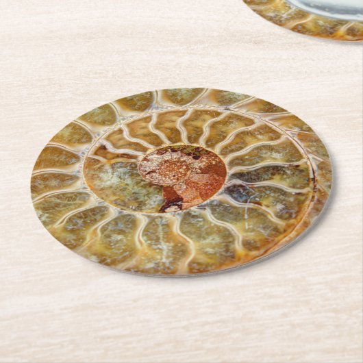 Ammoniet Fossil Onderzetter (Gebogen)