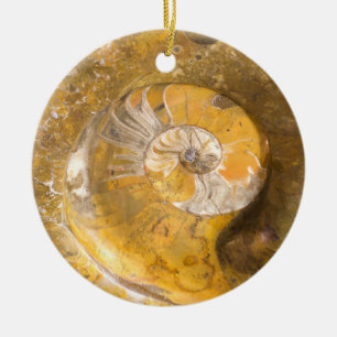 Ammoniet Fossil Rock Natuur Keramisch Ornament