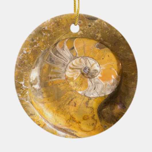 Ammoniet Fossil Rock Natuur Keramisch Ornament (Voorkant)