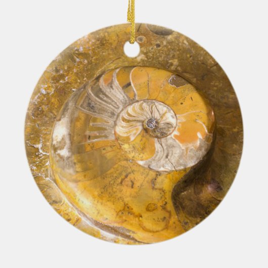 Ammoniet Fossil Rock Natuur Keramisch Ornament (Achterkant)