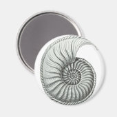 Ammoniet Magneet (Voorkant / Achterkant)
