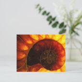 Ammoniet met achtergrondverlichting, Cleoniceras Briefkaart (Staand voorkant)