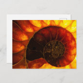 Ammoniet met achtergrondverlichting, Cleoniceras Briefkaart (Voorkant / Achterkant)