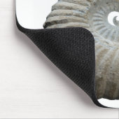 ammoniet muismat (Hoek)