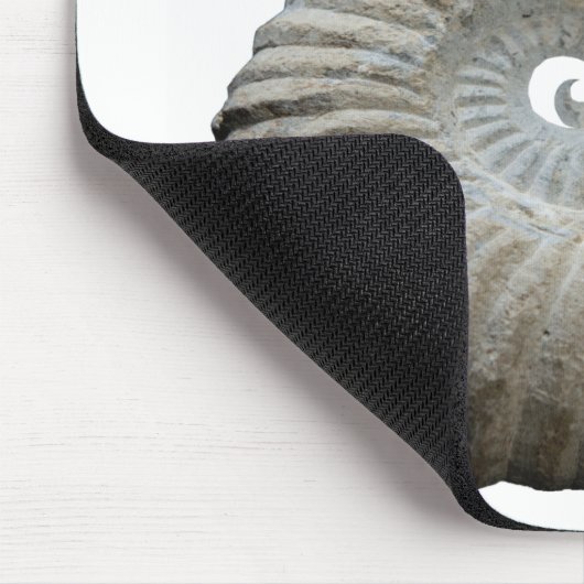 ammoniet muismat (Hoek)