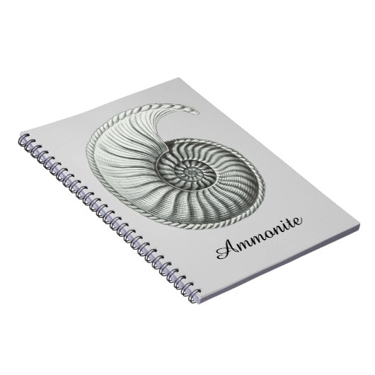 Ammoniet Notitieboek (Rechterzijde)