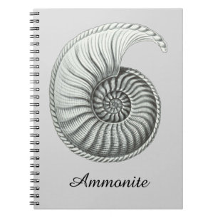 Ammoniet Notitieboek
