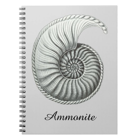 Ammoniet Notitieboek (Voorkant)