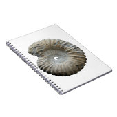 ammoniet notitieboek (Rechterzijde)