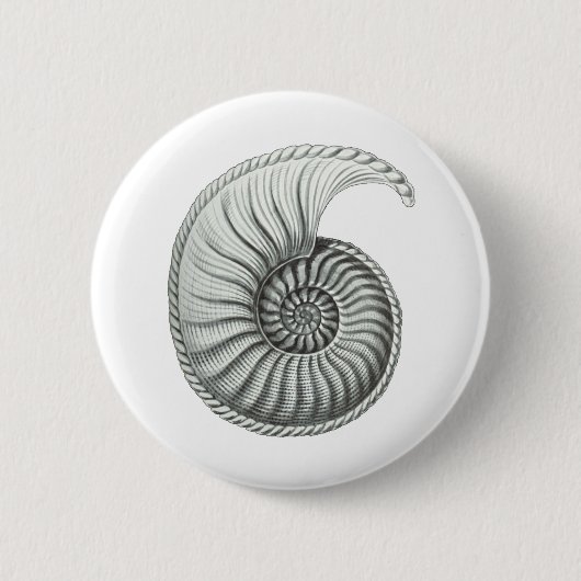 Ammoniet Ronde Button 5,7 Cm (Voorkant)