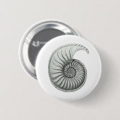 Ammoniet Ronde Button 5,7 Cm (Voorkant /achterkant)