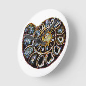 Ammoniet Ronde Klok (Hoek)