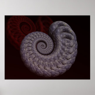 Ammoniet Schelp Poster