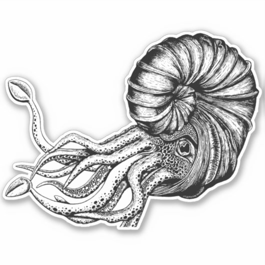 Ammoniet sticker (Voorkant)