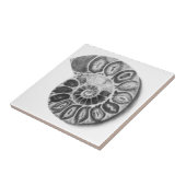 Ammoniet Tegeltje (Zijkant)