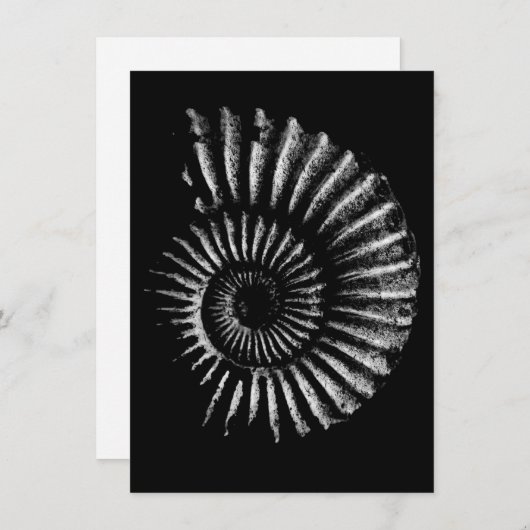 Ammoniet wit op zwart feestdagenkaart (Voorkant / Achterkant)