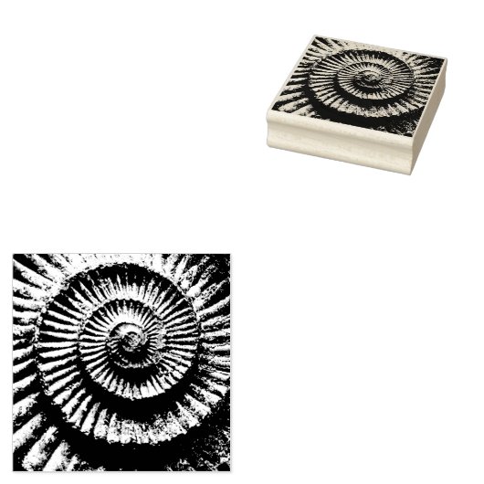 Ammonietfossiel Rubberstempel (Gestempeld)