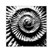 Ammonietfossiel Rubberstempel (Afrduk)