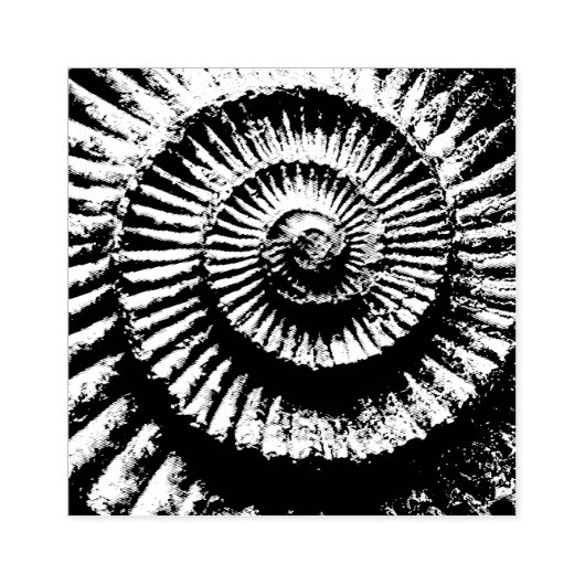 Ammonietfossiel Rubberstempel (Afrduk)