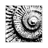 Ammoniettextuur Rubberstempel (Afrduk)