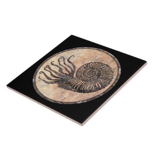 Ammonite Fossil Ceramic Tegel Tegeltje (Zijkant)