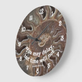 Ammonite Fossil Photo Time will not Delay Quote  Grote Klok (Hoek)