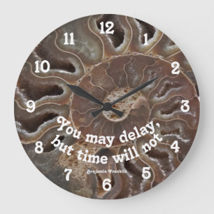 Ammonite Fossil Photo Time will not Delay Quote  Grote Klok