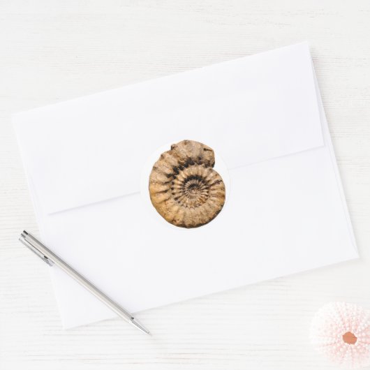 Ammonite Fossil Ronde Sticker (Envelop)