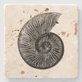 Ammonite Fossil Stenen Onderzetter (Voorkant)