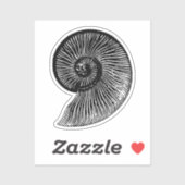Ammonite Fossil Sticker (Vel)