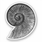 Ammonite Fossil Sticker (Voorkant)