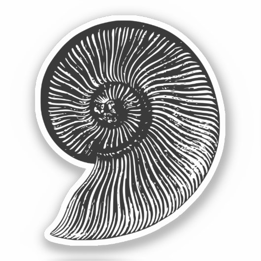 Ammonite Fossil Sticker (Voorkant)